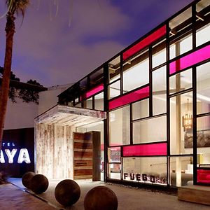 Hotel Maya - A Doubletree By Hilton Hotel